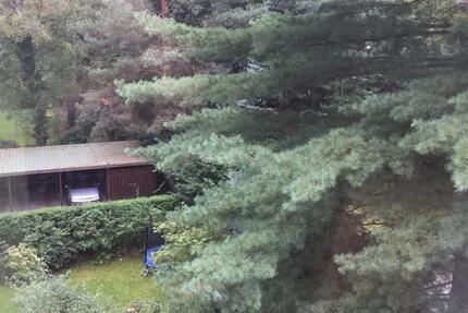 Wohnung Hamburg Wandsbek - 3 Zimmer, 69 m&sup2;, 330.000&euro; | Angebot:25432550