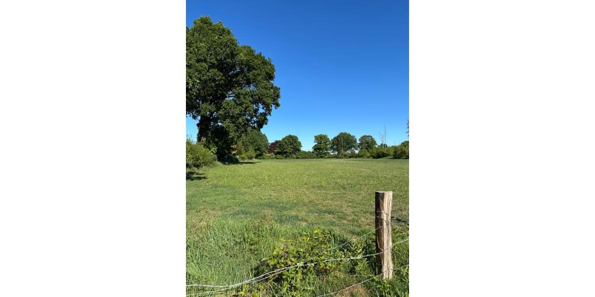 Einfamilienhaus Kaltenkirchen - 10 Zimmer, 300 m&sup2;, 689.930&euro; | Angebot:25167127