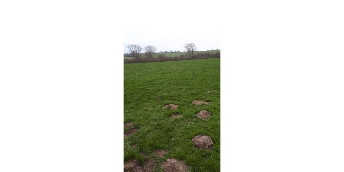 Bauernhaus, Landhaus Itzstedt - 6 Zimmer, 244 m&sup2;, 325.000&euro; | Angebot:26018169