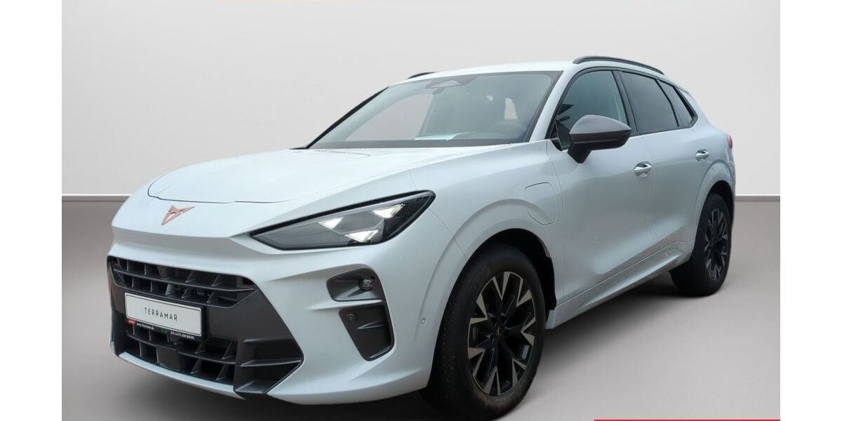 Cupra Terramar 5.000 km 42.885 &euro; Kaltenkirchen 24568