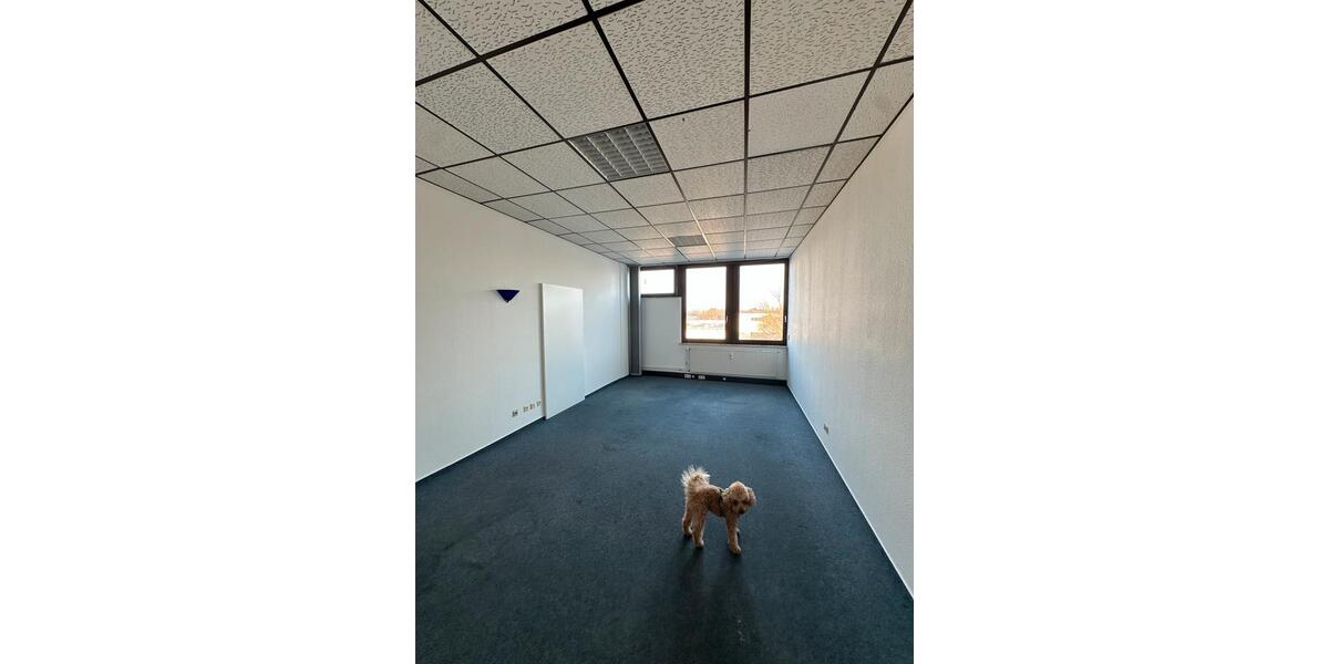 Gewerbeobjekt Schenefeld - 8&euro; | Angebot:24975918