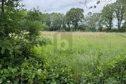 IDEAL FÜR FREIZEIT IN DER NATUR - Grundstück Lutzhorn | Angebot:25939973