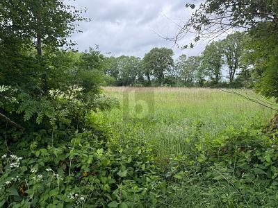 IDEAL FÜR FREIZEIT IN DER NATUR - Grundstück Lutzhorn | Angebot:25939973