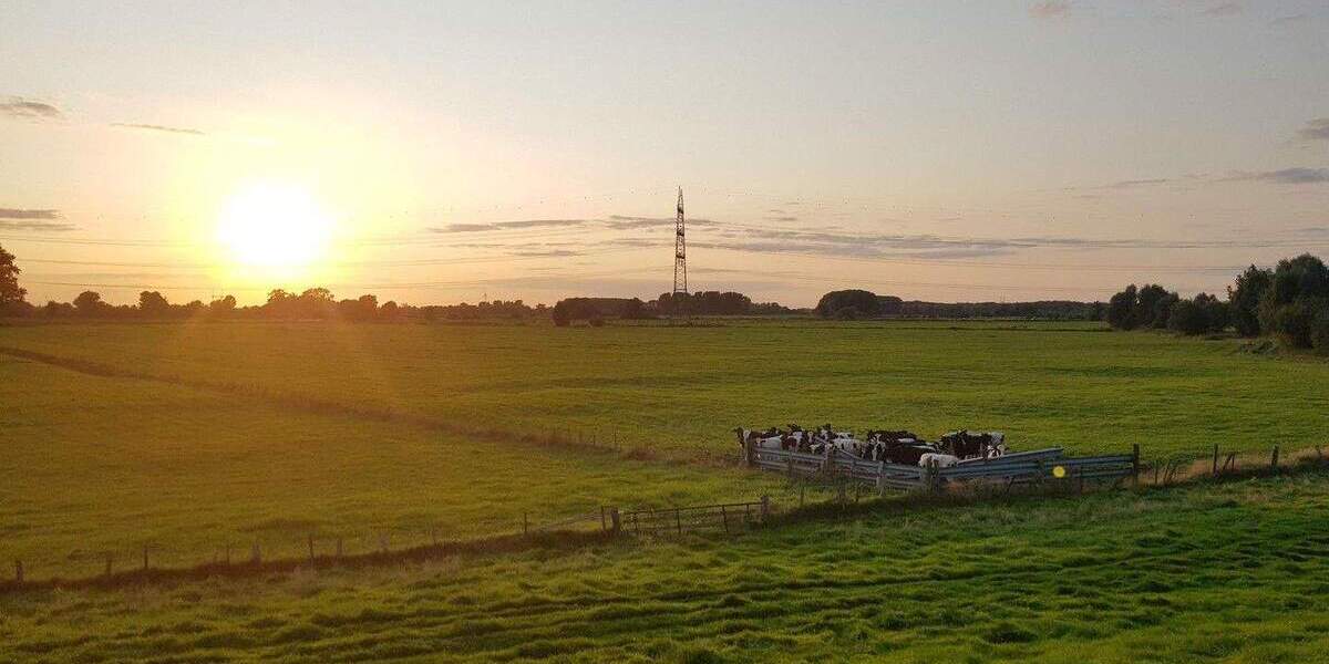 Einfamilienhaus Hetlingen - 4 Zimmer, 110 m&sup2;, 399.000&euro; | Angebot:25775578