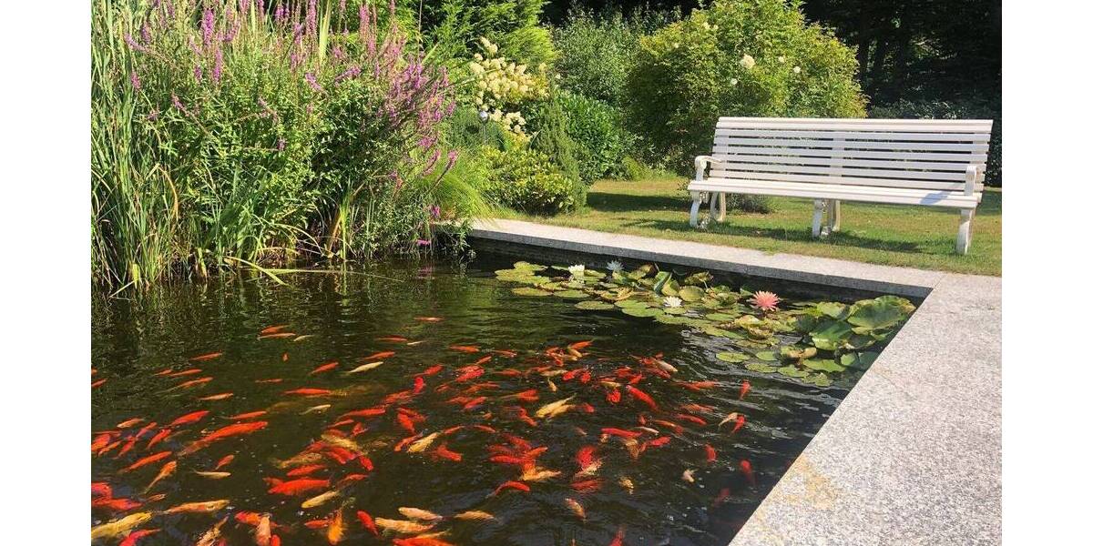 Bungalow Uetersen - 9 Zimmer, 400 m&sup2;, 990.000&euro; | Angebot:25660505