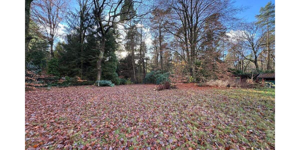 Einfamilienhaus Hamburg Eißendorf - 3 Zimmer, 45 m&sup2;, 155.000&euro; | Angebot:25744040