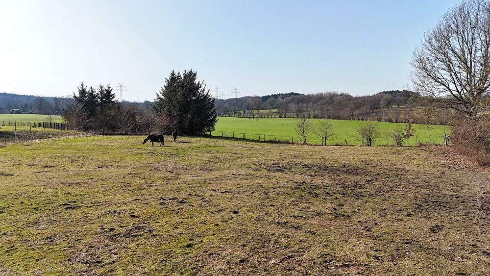 Grundstück Kisdorf - 530.000&euro; | Angebot:25743548