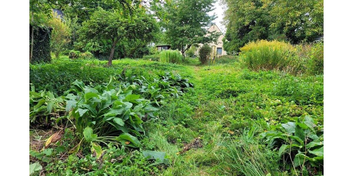 Grundstück Hamburg Lurup - 485.000&euro; | Angebot:25771179