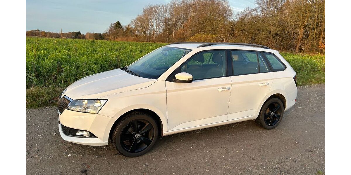 Skoda Fabia 73.000 km 10.350 &euro; Bad Bramstedt 24576