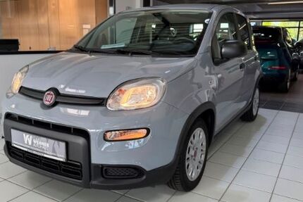 Fiat Panda 26.216 km 11.450 &euro; Hamburg 22525