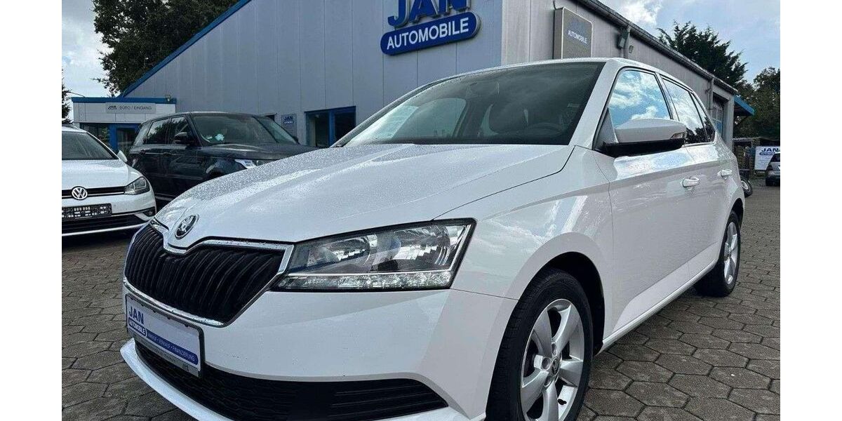 Skoda Fabia 93.700 km 9.190 &euro; Elmshorn 25335