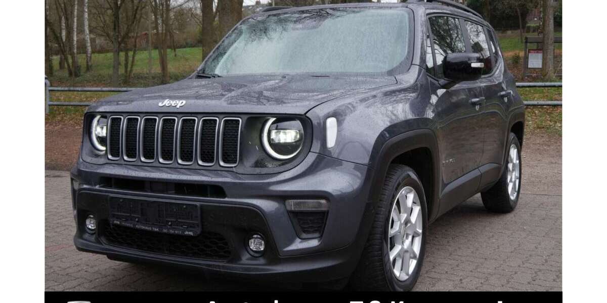Jeep Renegade 21.500 km 27.490 &euro; Hamburg 21077