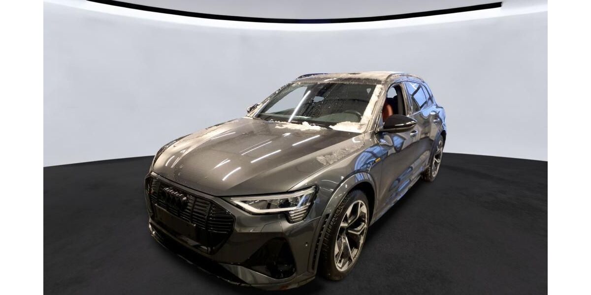 Audi e-tron 52.708 km 39.990 &euro; Hamburg 22047