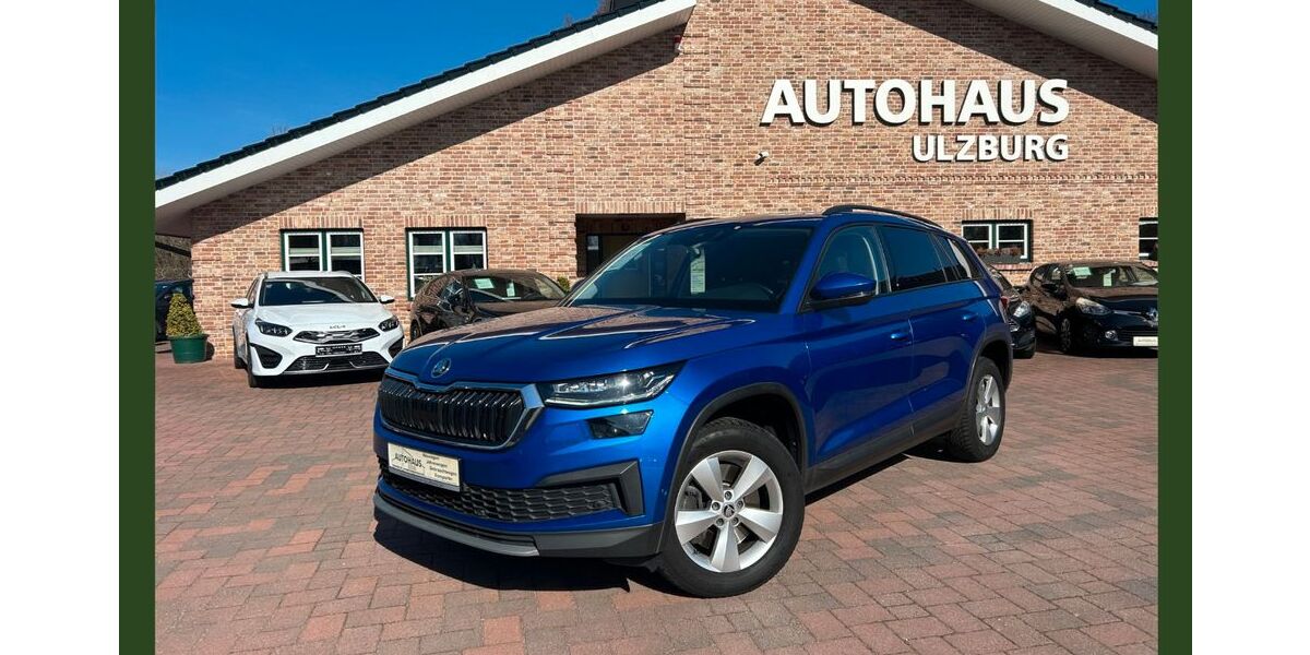 Skoda Kodiaq 100.000 km 27.900 &euro; Henstedt Ulzburg(20 km nördlich von HH-direkt an der A7) 24558