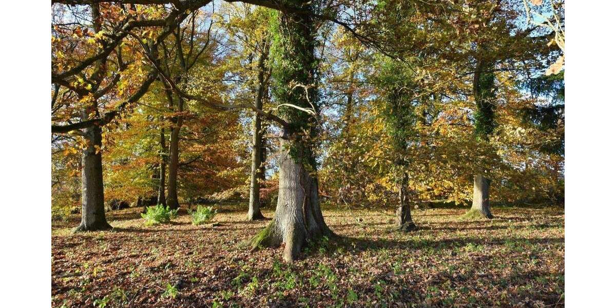 Mehrfamilienhaus, Wohnhaus Trittau - 795.000&euro; | Angebot:25726905