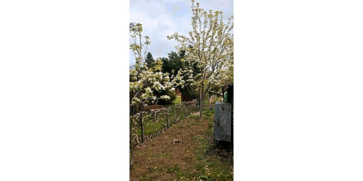 Einfamilienhaus Pinneberg - 4 Zimmer, 120 m&sup2;, 389.000&euro; | Angebot:26693725
