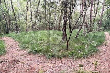 Grundstück Pinneberg - 100.000&euro; | Angebot:25439525