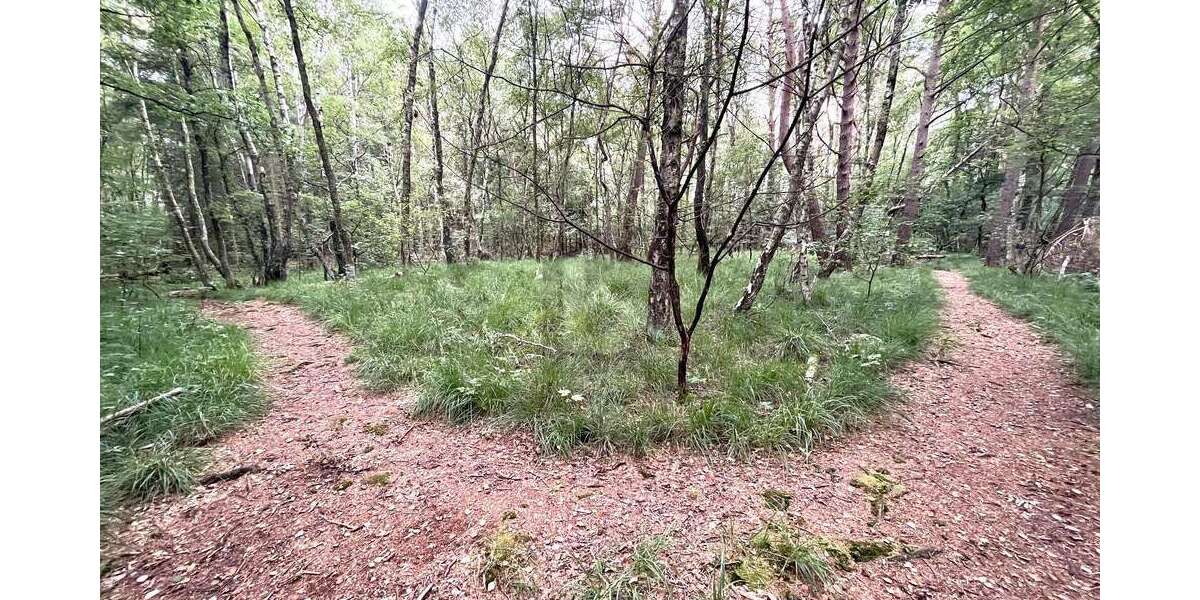 Grundstück Pinneberg - 100.000&euro; | Angebot:25439525