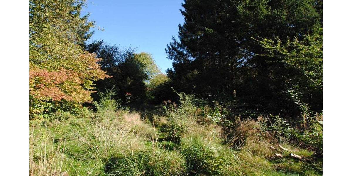 Grundstück Hamburg Bramfeld - 520.000&euro; | Angebot:25708422