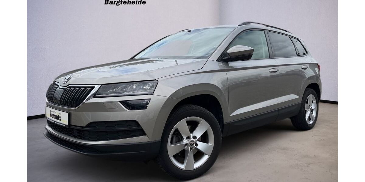 Skoda Karoq 94.239 km 19.500 &euro; Bargteheide 22941