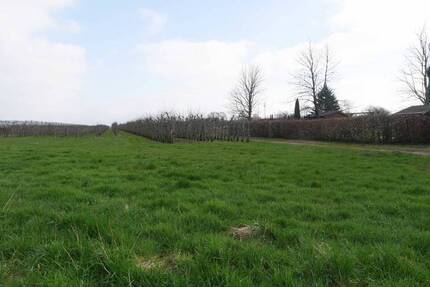 Grundstück Haselau - 240.000&euro; | Angebot:25660504