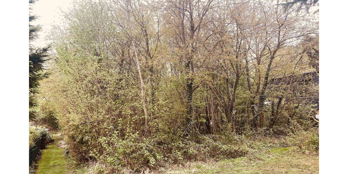 Grundstück Quickborn - 440.000&euro; | Angebot:25680761