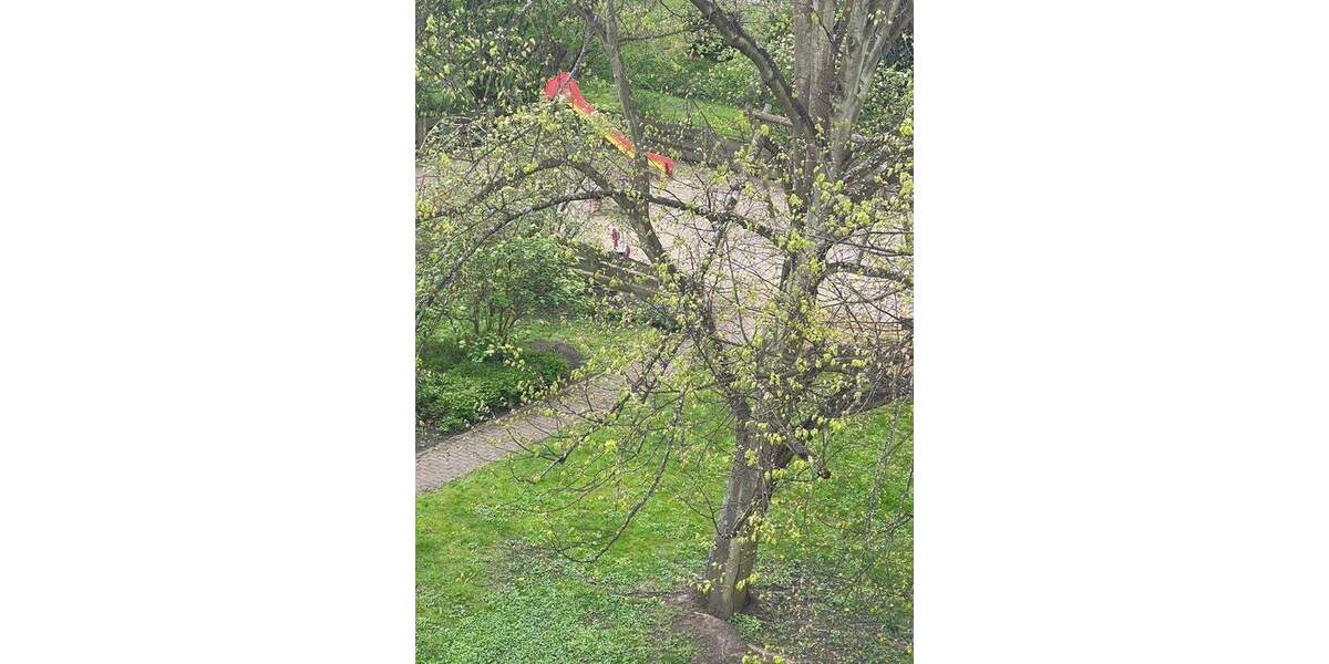 Etagenwohnung Hamburg Wilhelmsburg - 3 Zimmer, 73 m&sup2;, 340.000&euro; | Angebot:25716284