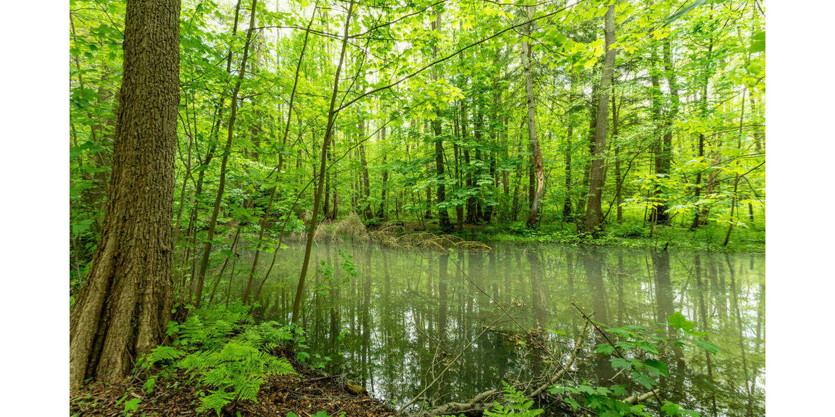 Grundstück Hamburg Hummelsbüttel - 2.600.000&euro; | Angebot:25773857