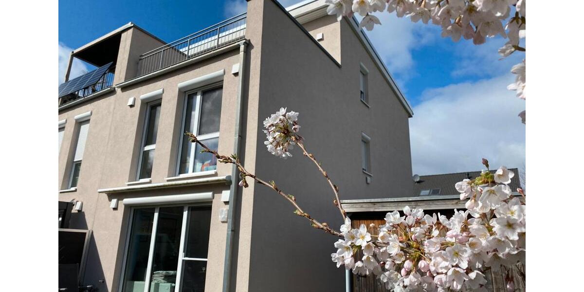 Doppelhaushälfte Hamburg Harburg - 5 Zimmer, 146 m&sup2;, 619.000&euro; | Angebot:26085705