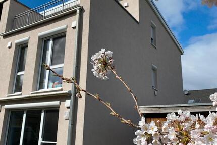 Haus Hamburg Harburg - 5 Zimmer, 146 m&sup2;, 619.000&euro; | Angebot:26085705