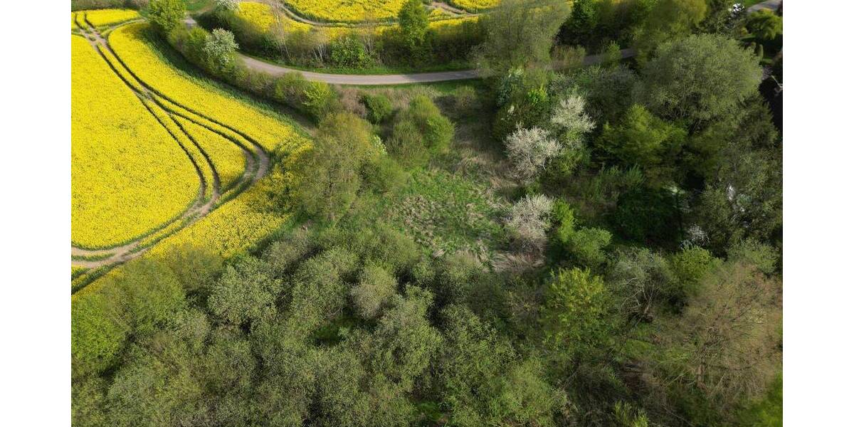 Grundstück Bebensee - 30.000&euro; | Angebot:25670820