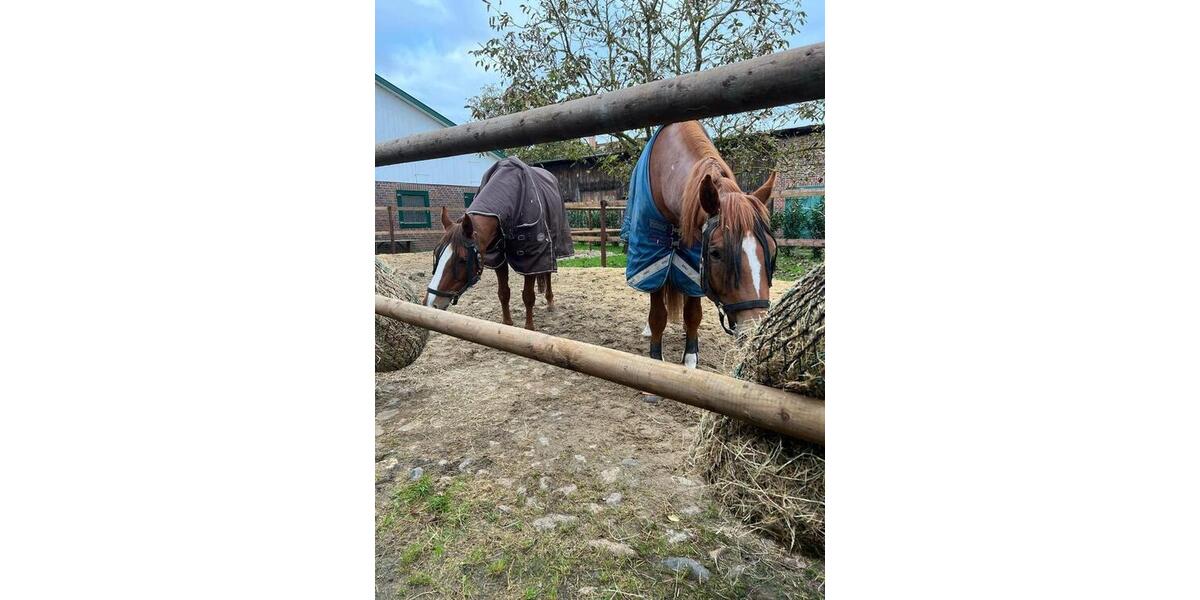 Hochparterre Jork - 5.5 Zimmer, 135 m&sup2;, 1.800&euro; | Angebot:25936098