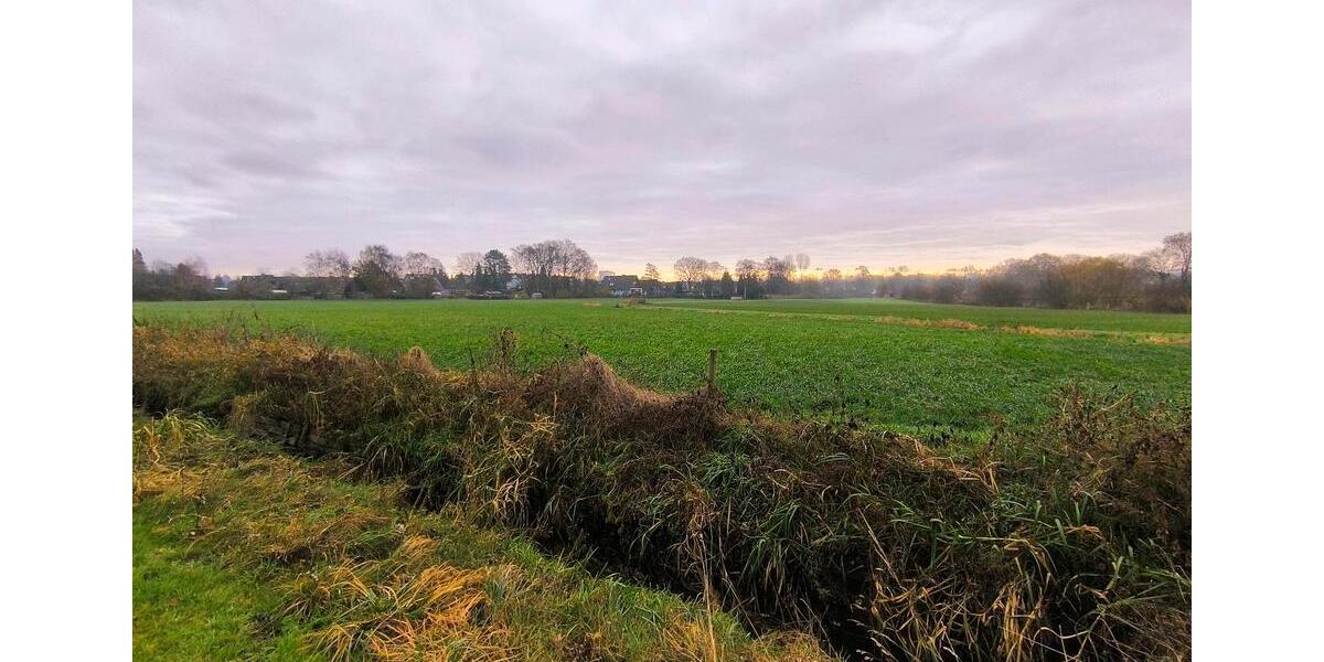 Doppelhaushälfte Halstenbek - 4 Zimmer, 120 m&sup2;, 690.000&euro; | Angebot:23725892