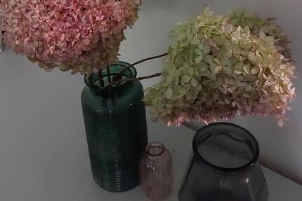 Wohnung Uetersen - 2 Zimmer, 500&euro; | Angebot:23090725