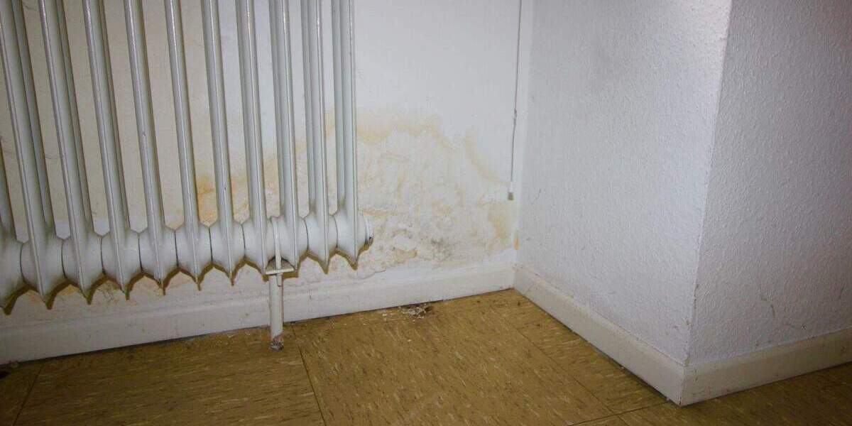 Etagenwohnung Hamburg Tonndorf - 2 Zimmer, 56 m&sup2;, 199.000&euro; | Angebot:25671593