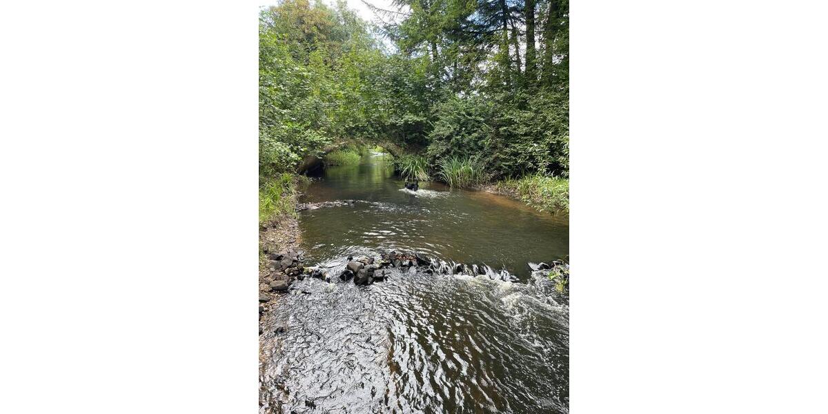 Mehrfamilienhaus, Wohnhaus Tangstedt - 7 Zimmer, 250 m&sup2;, 898.000&euro; | Angebot:22446954