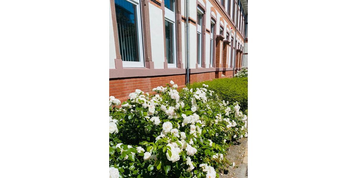 Gewerbeobjekt Hamburg Hamburg-Mitte - 175&euro; | Angebot:17360578