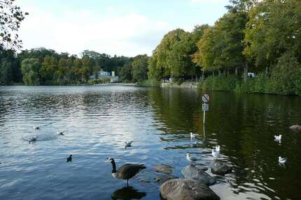 Zimmer Hamburg Wilstorf - 1 Zimmer, 1.590&euro; | Angebot:25528362