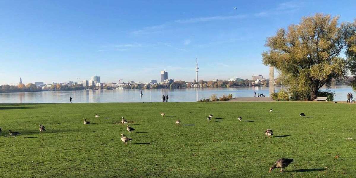 Etagenwohnung Hamburg Hohenfelde - 2 Zimmer, 73 m&sup2;, 549.000&euro; | Angebot:25373485