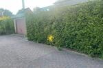 Bungalow Kaltenkirchen - 4 Zimmer, 100 m&sup2;, 395.000&euro; | Angebot:27066379