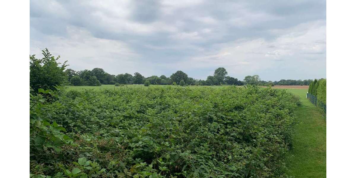 Grundstück Kaltenkirchen - 70.000&euro; | Angebot:24715234