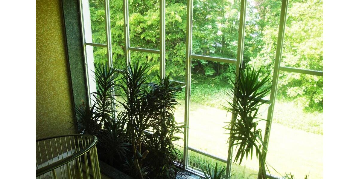 Etagenwohnung Großhansdorf - 1 Zimmer, 15 m&sup2;, 295&euro; | Angebot:24626610