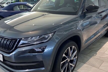 Skoda Kodiaq 169.800 km 23.900 &euro; Hamburg 20099