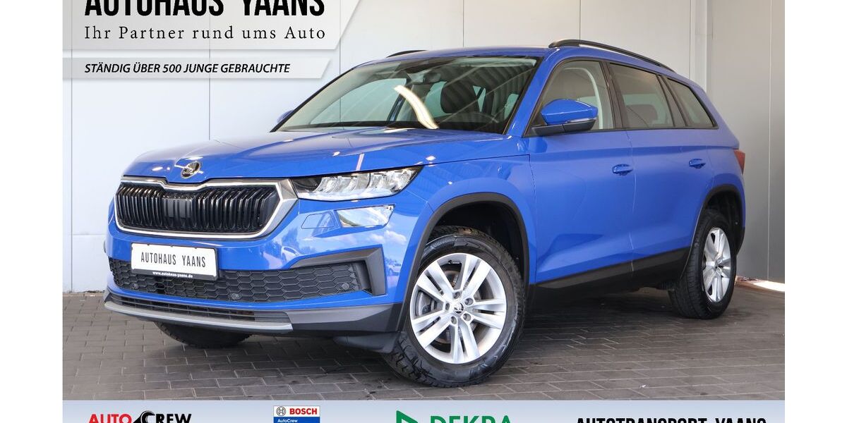 Skoda Kodiaq 118.950 km 23.189 &euro; Pinneberg 25421