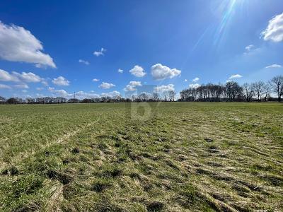 GROßE FLÄCHE MIT VIELSEITIGER NUTZUNG - Grundstück Oststeinbek | Angebot:27190523