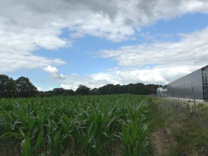 Grundstück Kisdorf - 1.178.000&euro; | Angebot:25666367