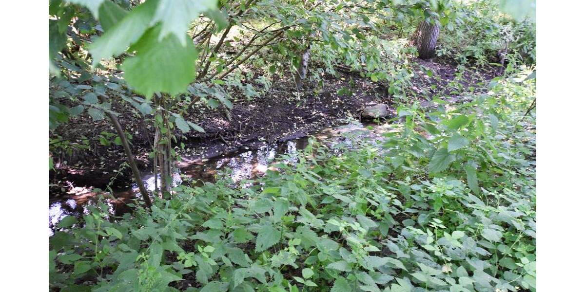 Grundstück Rausdorf - 129.000&euro; | Angebot:25726908