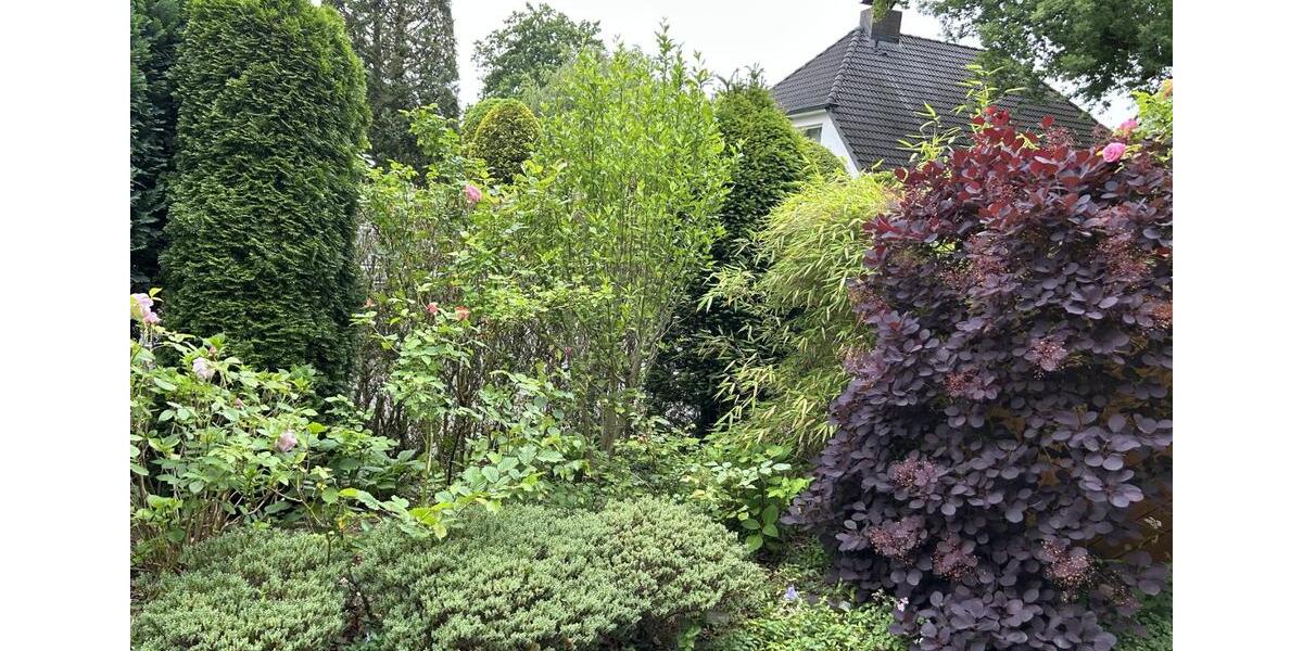 Doppelhaushälfte Hamburg Wandsbek - 4 Zimmer, 100 m&sup2;, 750.000&euro; | Angebot:25793314