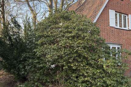 Grundstück Aumühle - 649.000&euro; | Angebot:24463066