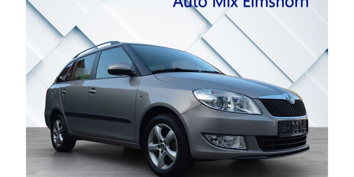 Skoda Fabia 124.540 km 7.700 &euro; Elmshorn 25335